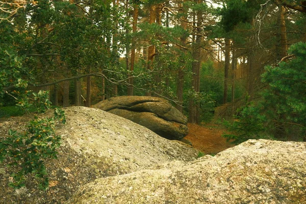 Grande Pedra Floresta Montanha — Fotografia de Stock