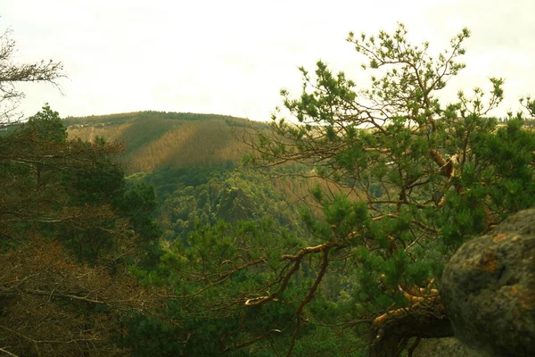 Piękny Widok Krajobraz Górski Tło Natury — Zdjęcie stockowe