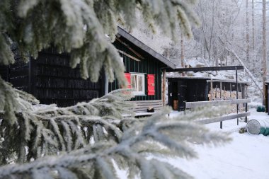 Karlı kış ormanında küçük ahşap kulübe