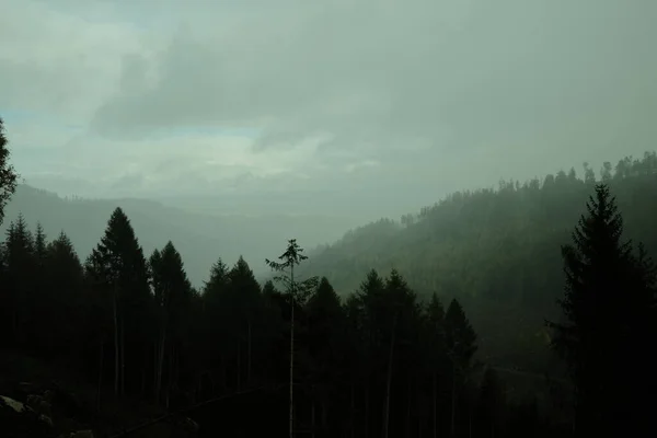 Een Mistige Ochtend Met Bomen Bossen Bergketens — Stockfoto