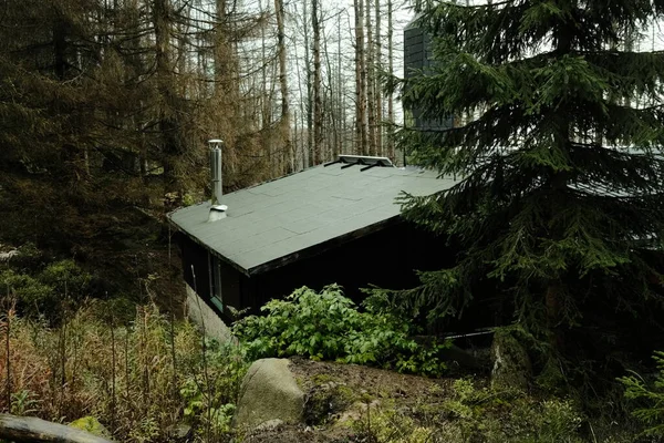 Μικρό Ξύλινο Σπίτι Στο Δάσος Ταξίδι Έννοια Της Φύσης — Φωτογραφία Αρχείου