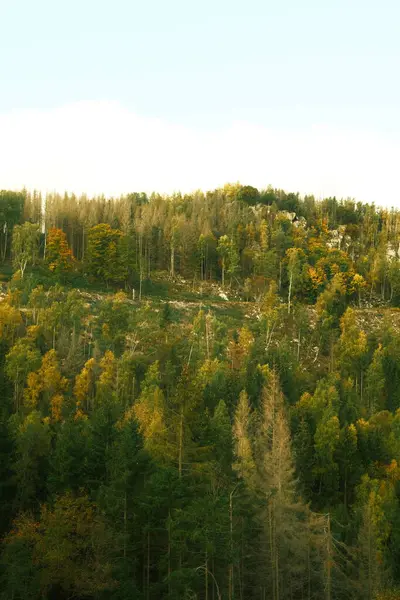 山の美しい秋 自然の背景 — ストック写真