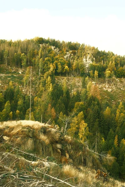 木々や山々が描かれた秋の風景 自然の背景 — ストック写真