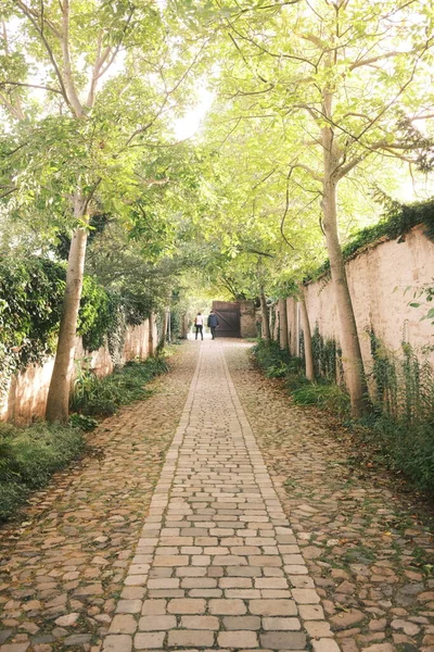 Yazın eski manastırın güzel toprakları