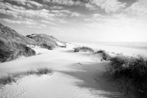 Gråskala Bild Vacker Sanddyner Solig Dag Med Sandstrand — Stockfoto