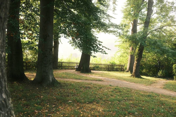 Parkın güzel manzarası. Doğa arkaplanı