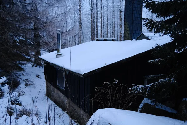 Kleine Holzhütte Verschneiten Winterwald Nacht — Stockfoto