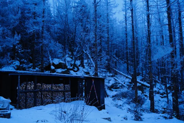 Nachtansicht Von Der Hütte Wald — Stockfoto