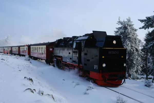 Winter Bergbos Met Stoomtrein — Stockfoto