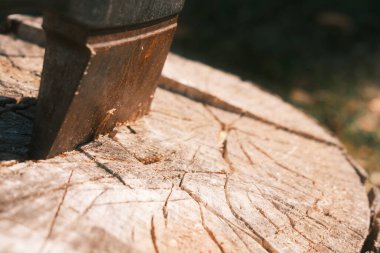 Tahta kütük ve metal balta bahçede.