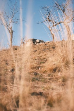 Şeytan Duvarı 'na giden yol, Saksonya-Anhalt' da kaya oluşumu, Harz dağları, Almanya.