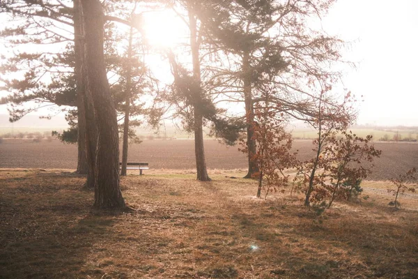 田舎の美しい秋の風景 自然の背景 — ストック写真