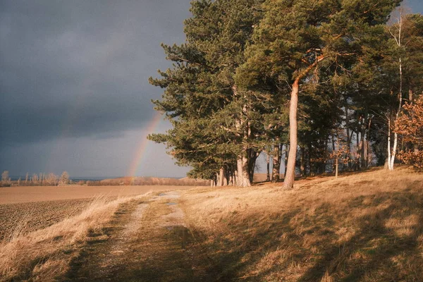 フィールド上のカラフルな虹 自然の背景 — ストック写真