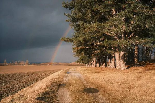 Eenzame Regenboog Het Midden Van Het Veld — Stockfoto