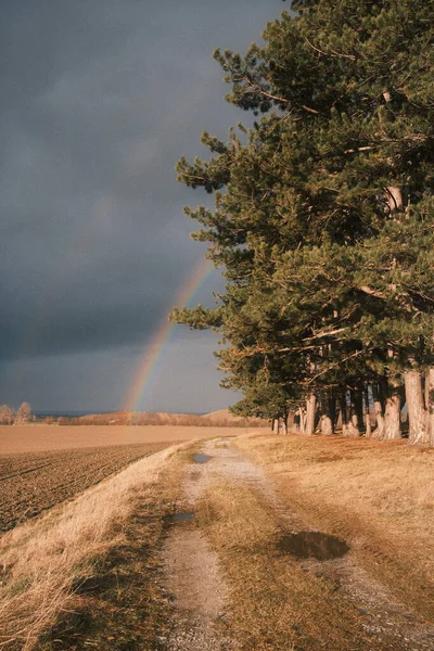 Väg Ett Lantligt Landskap Med Molnig Blå Himmel Och Regnbåge — Stockfoto