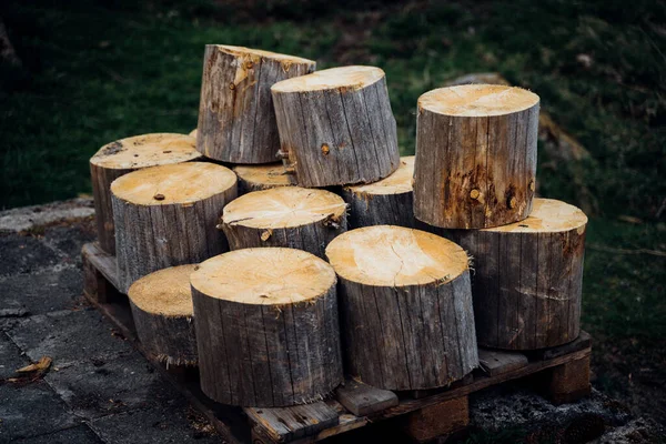 Pile Wood Logs Sale Yard Autumn — Stock Photo, Image