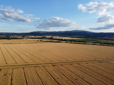 Hasat alanlarının havadan görünüşü. Güzel manzaralı