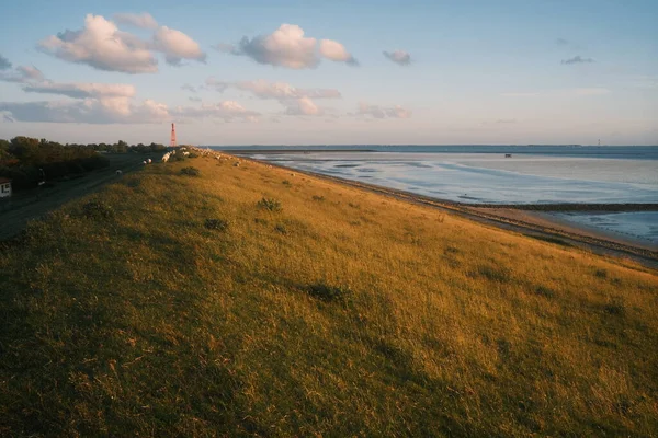 Prachtig Uitzicht Groene Kust Van Zee — Stockfoto