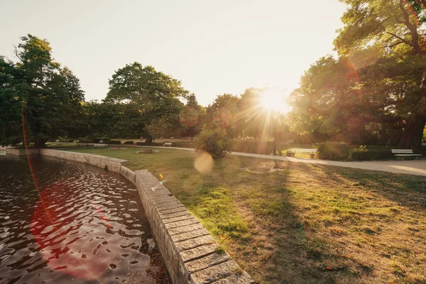 Parkta güzel bir gün batımı. Ilsenburg, Almanya