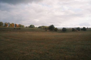 Sonbahar manzarası. Ağaçlar parlak yapraklarla kaplıdır..