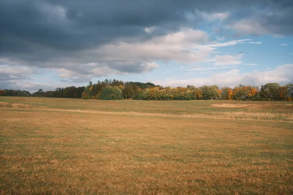 Høsten Marken Vakker Naturbakgrunn – stockfoto