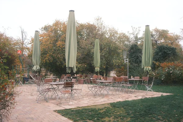 autumn in the park. Outdoor cafe with tables and chairs