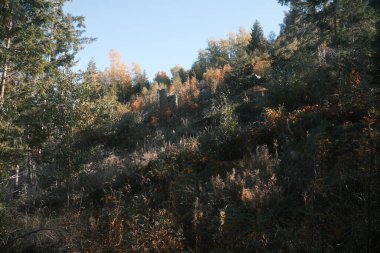 Dağda renkli yaprakları olan sonbahar ağaçları