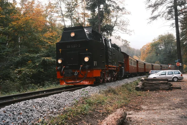 Sonbahar Ormanı Yakınlarında Eski Bir Buhar Treni — Stok fotoğraf