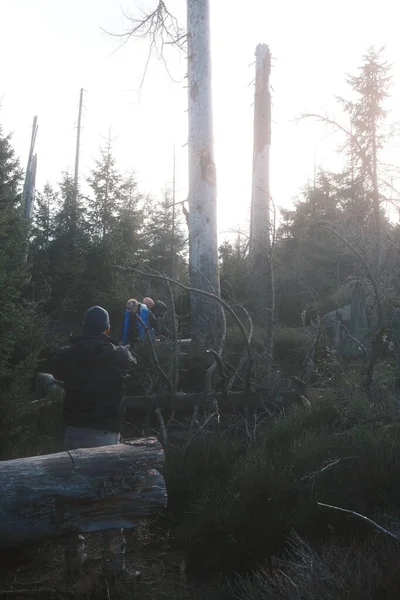 一群背着背包徒步穿越秋天森林的游客 — 图库照片