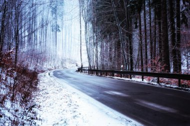 Kış ormanında boş ıslak yol