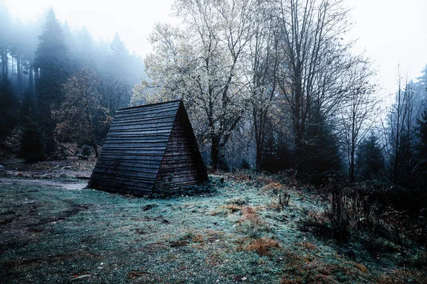 Alte Holzhütte Nebligen Wald — Stockfoto