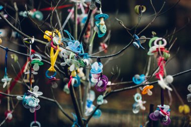 Bahçesinde emzikler olan güzel yeşil çalı.