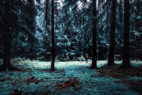 Hombre Caminando Bosque Por Noche —  Fotos de Stock
