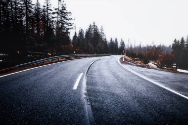 Ormanda yol, güzel bir arka plan.