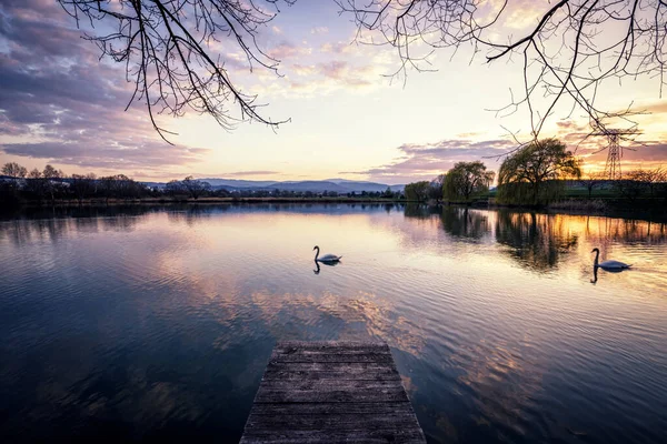 Hermoso Amanecer Sobre Lago Tranquilo Con Cisnes — Foto de Stock