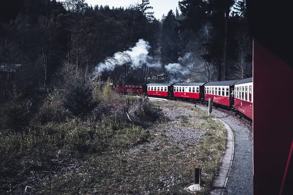 Locomotiva Vapor Através Floresta — Fotografia de Stock