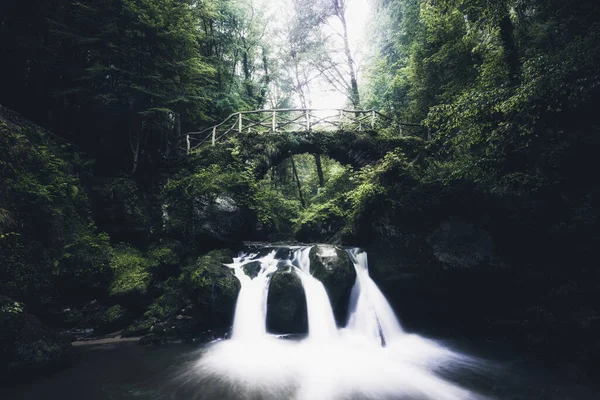 Wasserfall Wunderschönem Grünen Wald — Stockfoto