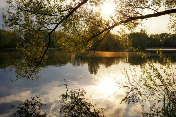 Coucher Soleil Bord Lac Dans Une Belle Forêt Images De Stock Libres De Droits