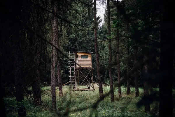 Wooden Hut Beautiful Forest — Stock Photo, Image