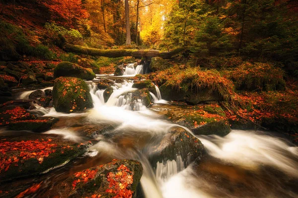 Wasserfall Wunderschönen Herbstwald — Stockfoto