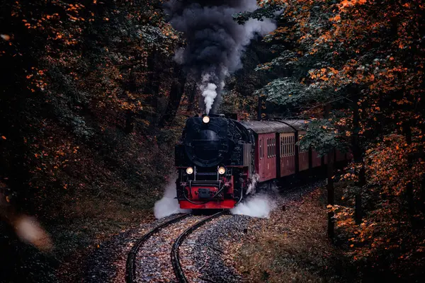 Старий Поїзд Осінньому Лісі — стокове фото