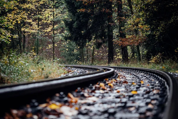 Sonbahar parkındaki tren yolu.