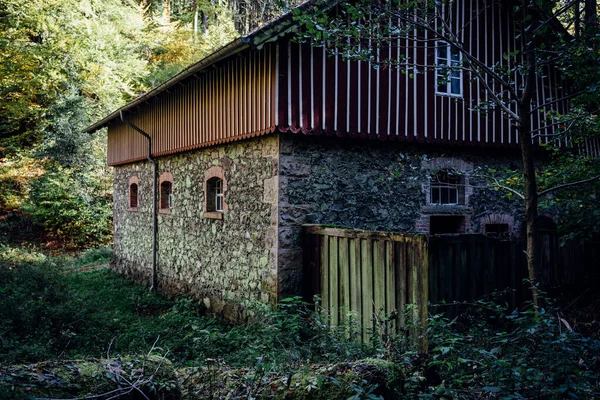 Maison Abandonnée Dans Forêt Ensoleillée Photo De Stock