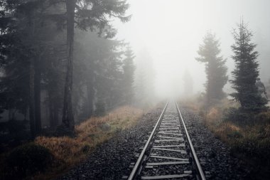 Sisli ormanda demiryolu hattı