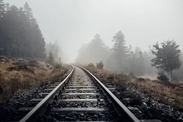 Railroad Track Foggy Forest — Stock Photo, Image