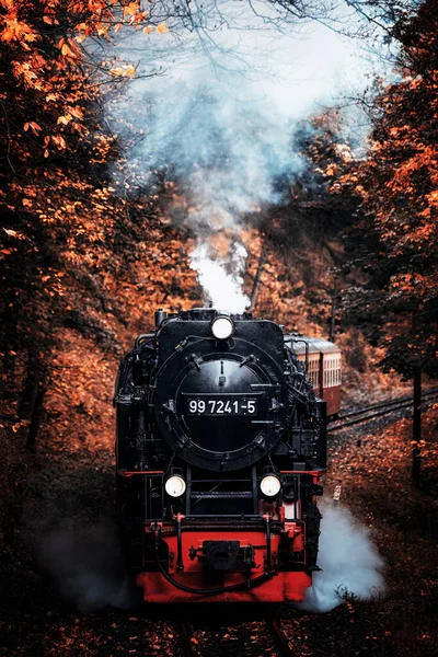 Sonbahar Ormanda Eski Tren — Stok fotoğraf