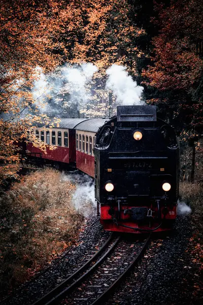 Старий Поїзд Осінньому Лісі — стокове фото