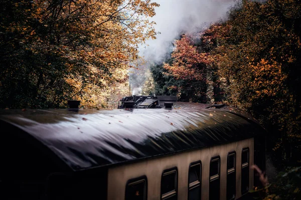 Παλιό Τρένο Στο Φθινόπωρο Δάσος — Φωτογραφία Αρχείου