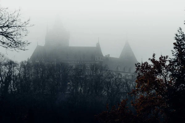 Old Castle Foggy Time — Stock Photo, Image
