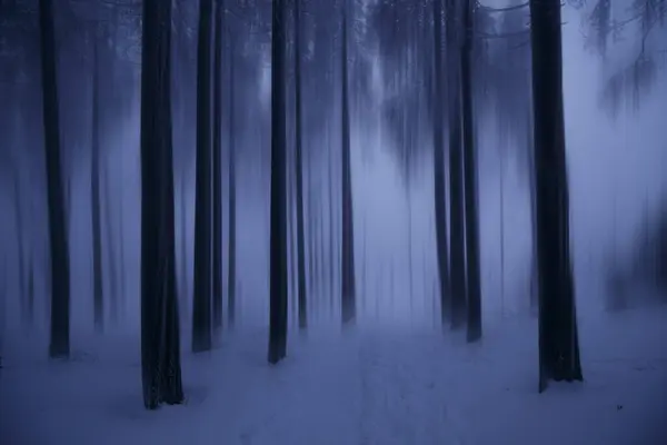 Dziki Las Śnieżny Sezonie Zimowym — Zdjęcie stockowe